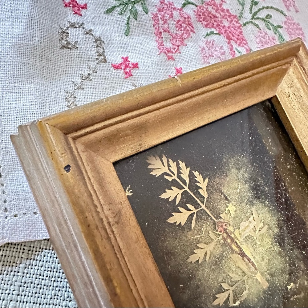 Vintage Botanical Shadow Box Frame – Gold Wood, 4.5” Square - Picture 8 of 8